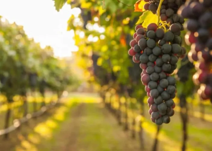 Appartamento Proche Cite Medievale Et Centre - Parking Prive *